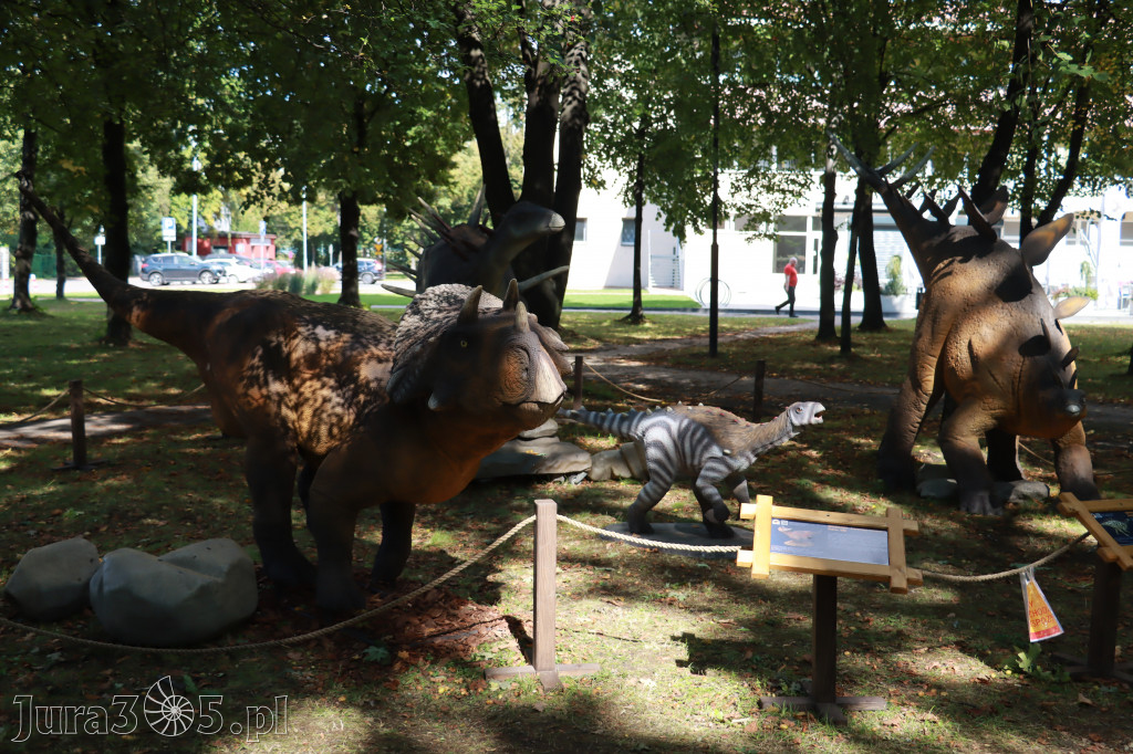 Park Jurajski w Zawierciu - Wystawa Dinozaurów