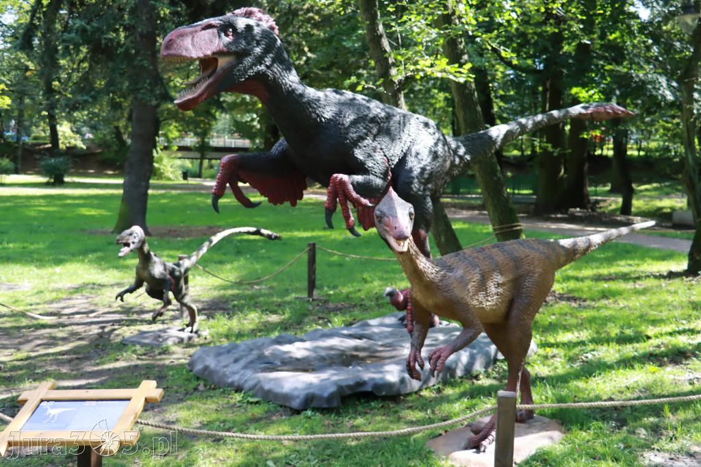 Park Jurajski w Zawierciu - Wystawa Dinozaurów