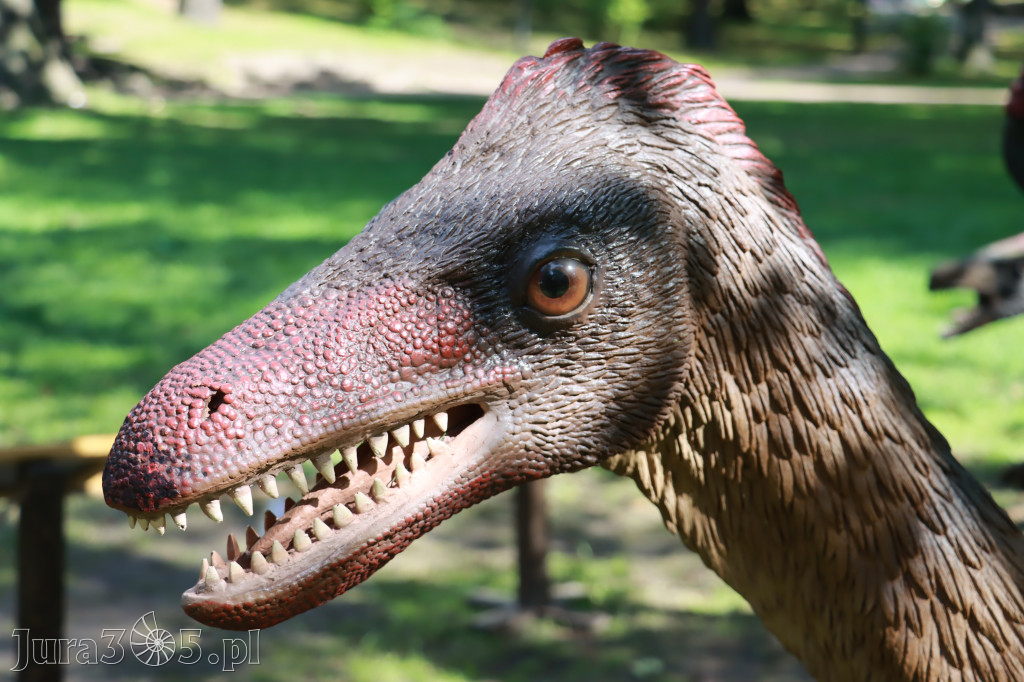 Park Jurajski w Zawierciu - Wystawa Dinozaurów