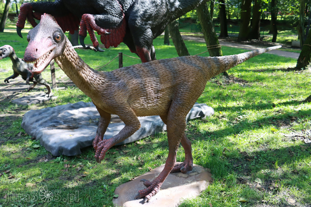 Park Jurajski w Zawierciu - Wystawa Dinozaurów