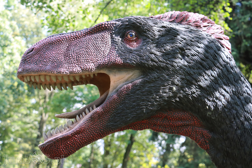 Park Jurajski w Zawierciu - Wystawa Dinozaurów