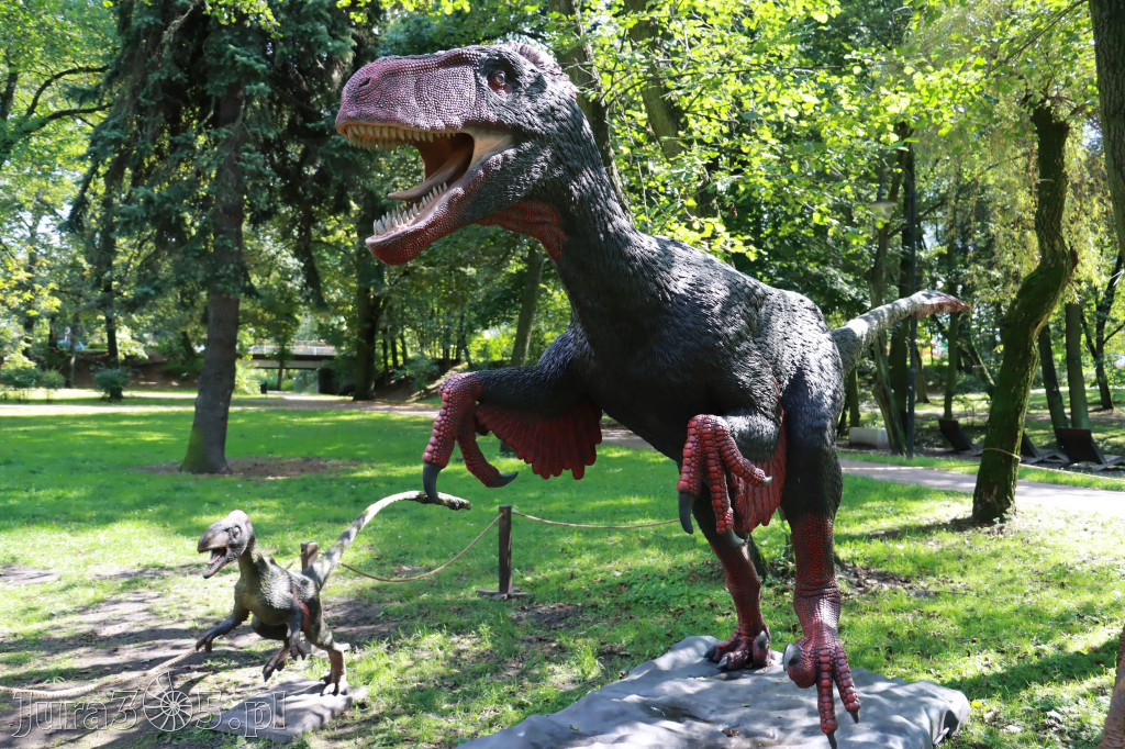Park Jurajski w Zawierciu - Wystawa Dinozaurów