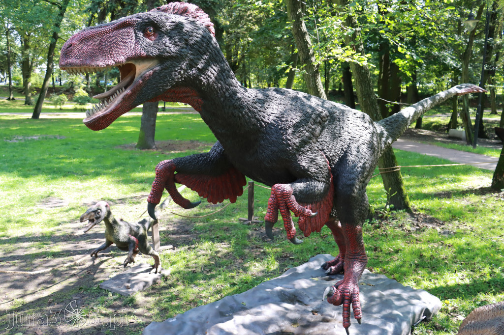 Park Jurajski w Zawierciu - Wystawa Dinozaurów