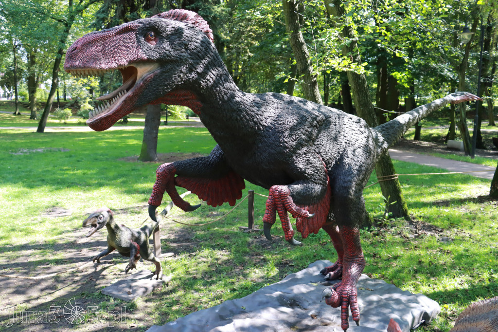Park Jurajski w Zawierciu - Wystawa Dinozaurów