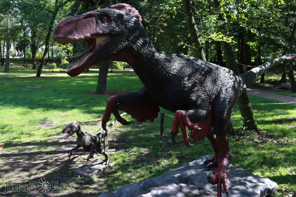 Park Jurajski w Zawierciu - Wystawa Dinozaurów
