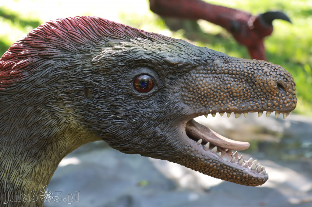 Park Jurajski w Zawierciu - Wystawa Dinozaurów