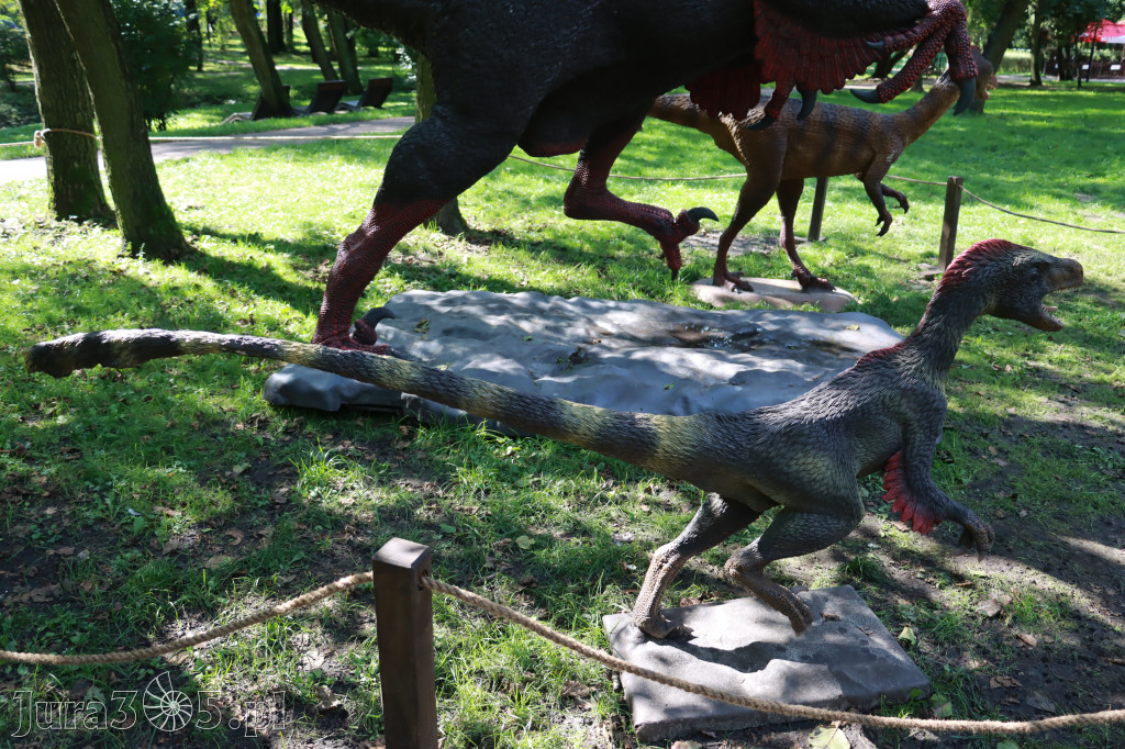 Park Jurajski w Zawierciu - Wystawa Dinozaurów