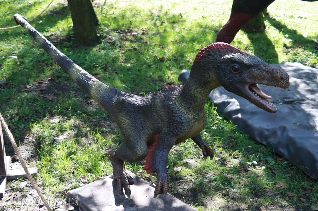 Park Jurajski w Zawierciu - Wystawa Dinozaurów