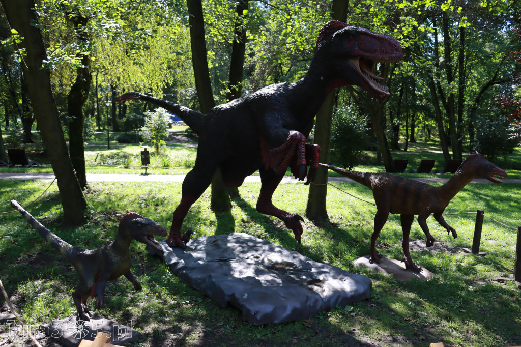 Park Jurajski w Zawierciu - Wystawa Dinozaurów