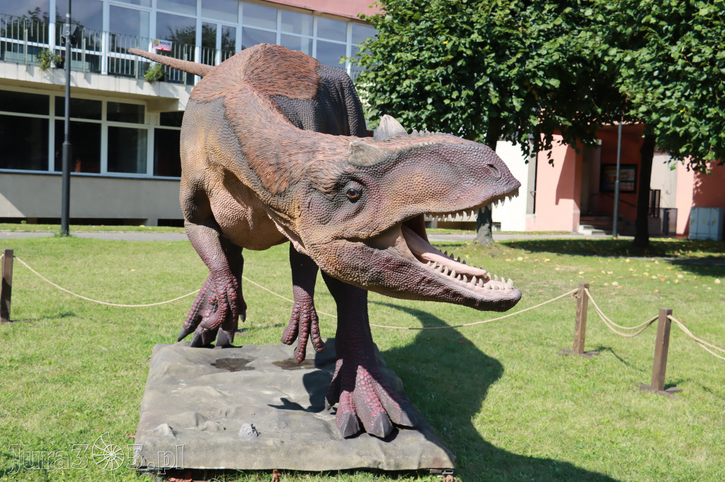 Park Jurajski w Zawierciu - Wystawa Dinozaurów