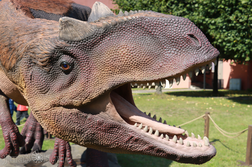 Park Jurajski w Zawierciu - Wystawa Dinozaurów