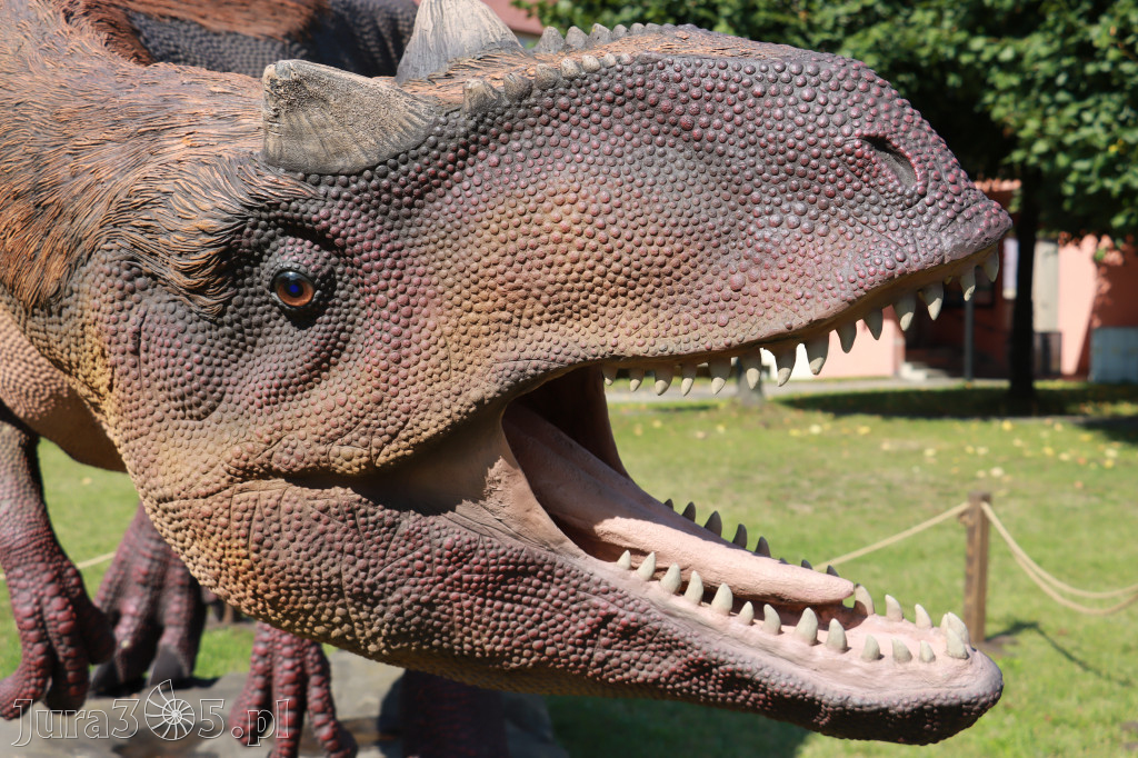 Park Jurajski w Zawierciu - Wystawa Dinozaurów