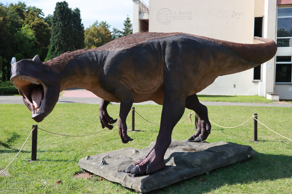 Park Jurajski w Zawierciu - Wystawa Dinozaurów