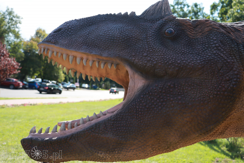 Park Jurajski w Zawierciu - Wystawa Dinozaurów