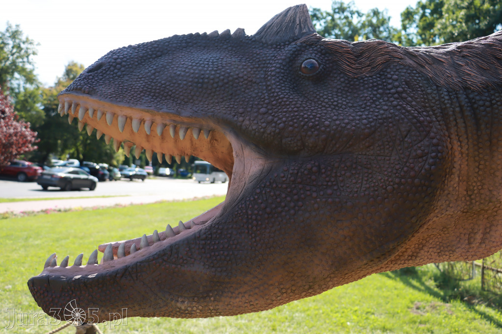 Park Jurajski w Zawierciu - Wystawa Dinozaurów