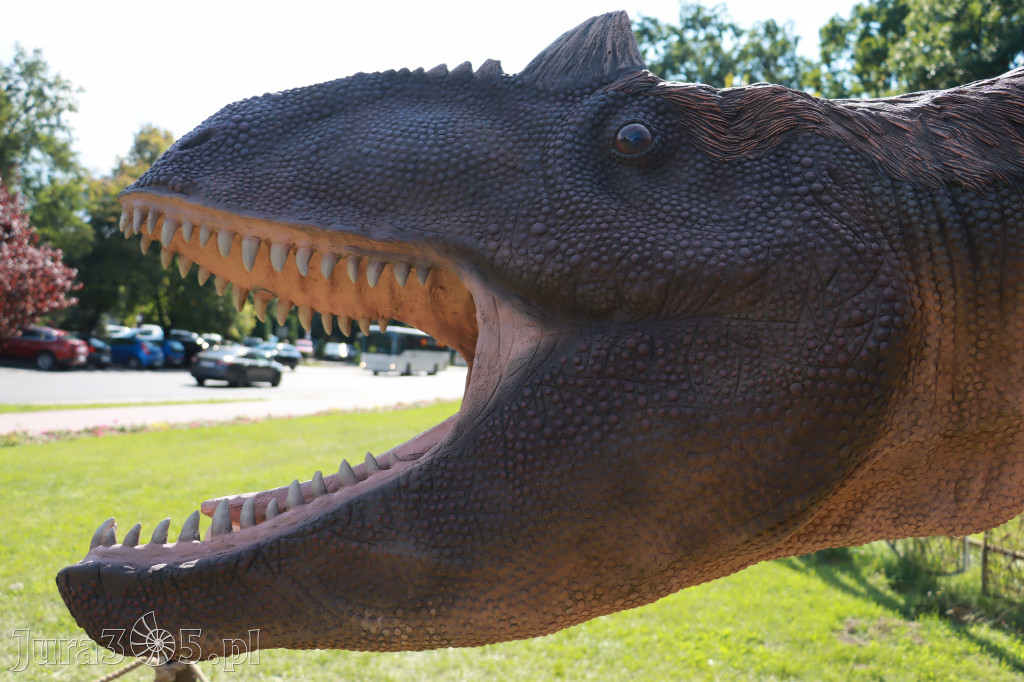 Park Jurajski w Zawierciu - Wystawa Dinozaurów