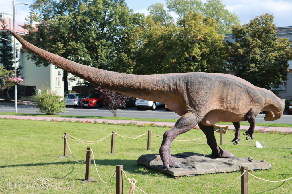 Park Jurajski w Zawierciu - Wystawa Dinozaurów