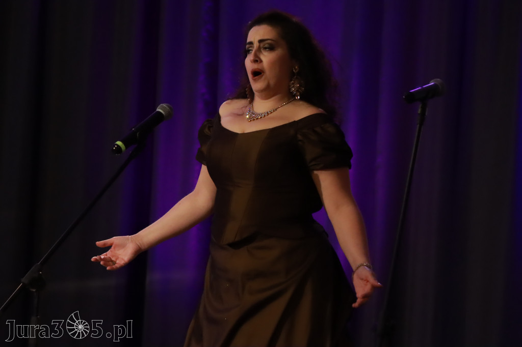 Fotorelacja - Koncert Noworoczny w Zawierciu