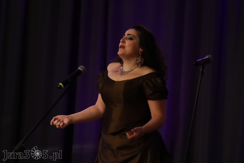 Fotorelacja - Koncert Noworoczny w Zawierciu