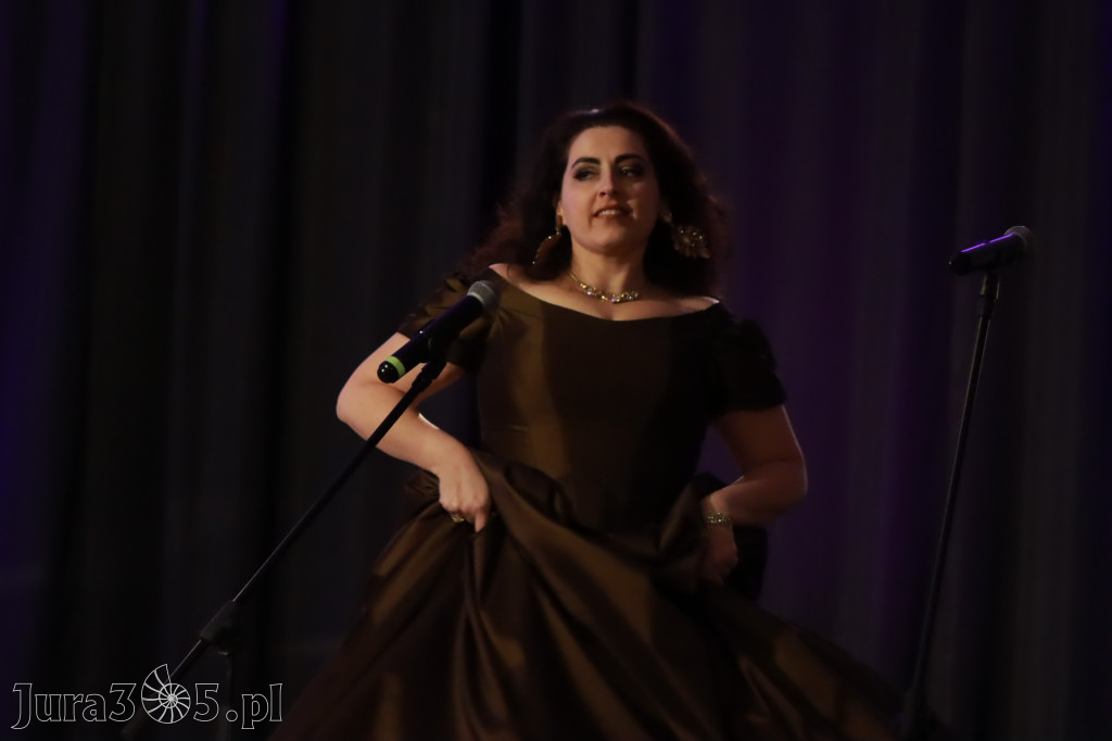 Fotorelacja - Koncert Noworoczny w Zawierciu