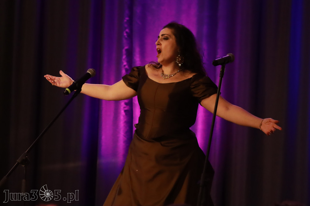 Fotorelacja - Koncert Noworoczny w Zawierciu
