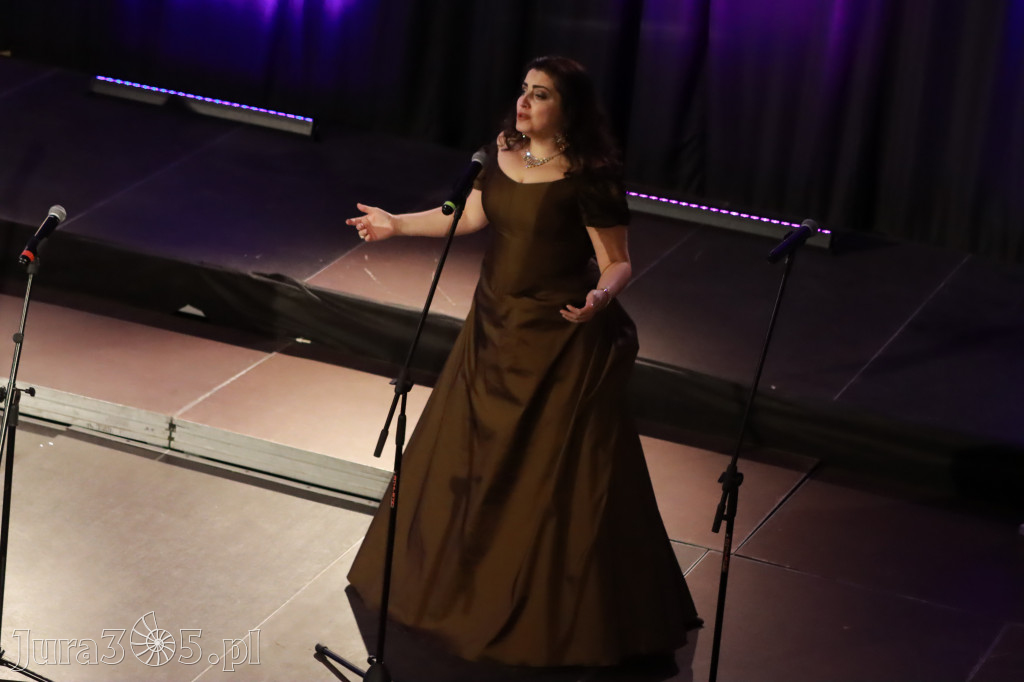 Fotorelacja - Koncert Noworoczny w Zawierciu
