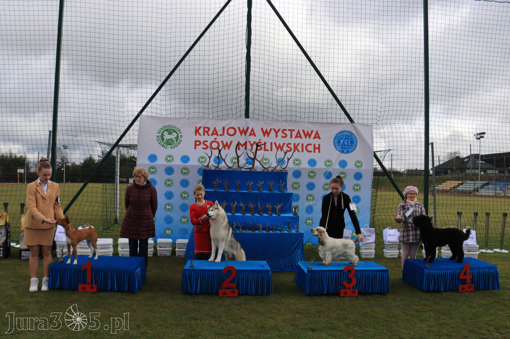 Krajowa Wystawa Psów Myśliwskich - Gniazdów g. Koziegłowy cz. 1