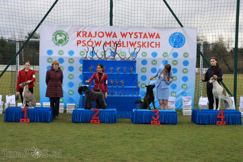 Krajowa Wystawa Psów Myśliwskich - Gniazdów g. Koziegłowy cz. 1