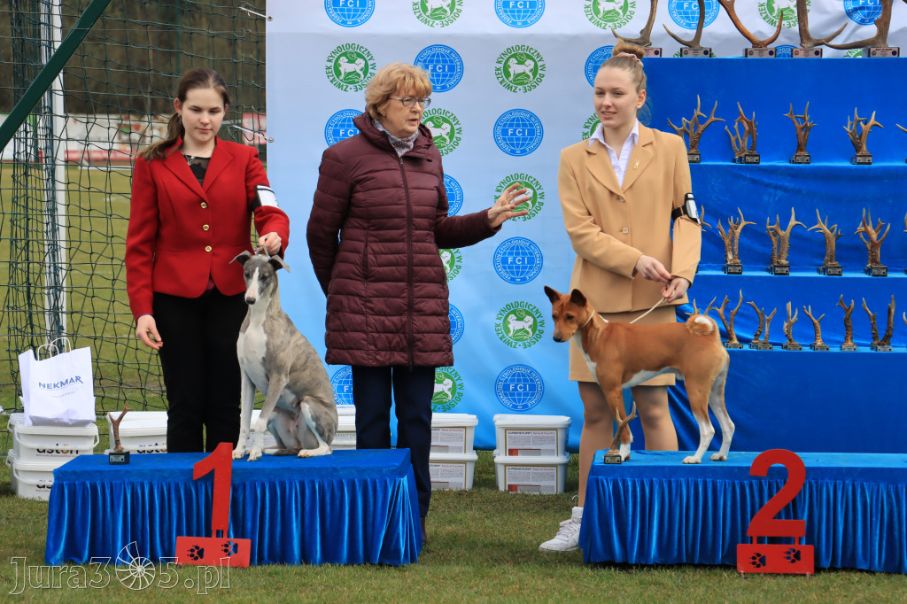 Krajowa Wystawa Psów Myśliwskich - Gniazdów g. Koziegłowy cz. 1