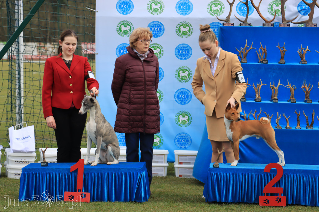 Krajowa Wystawa Psów Myśliwskich - Gniazdów g. Koziegłowy cz. 1