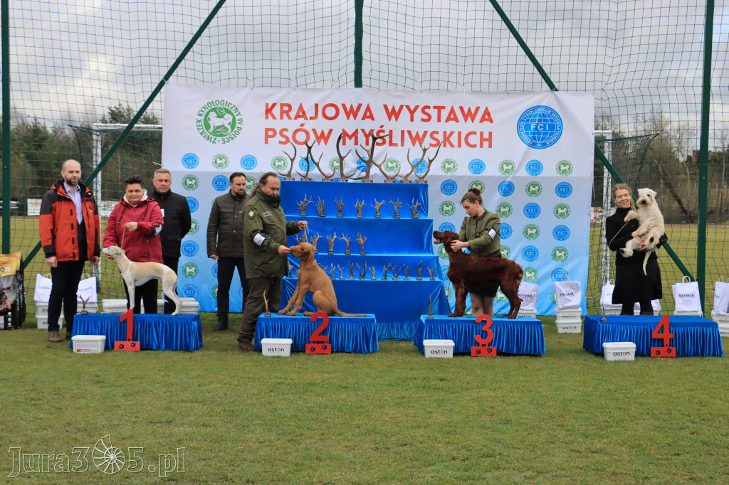 Krajowa Wystawa Psów Myśliwskich - Gniazdów g. Koziegłowy cz. 1