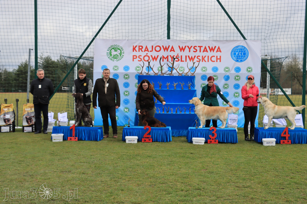 Krajowa Wystawa Psów Myśliwskich - Gniazdów g. Koziegłowy cz. 1