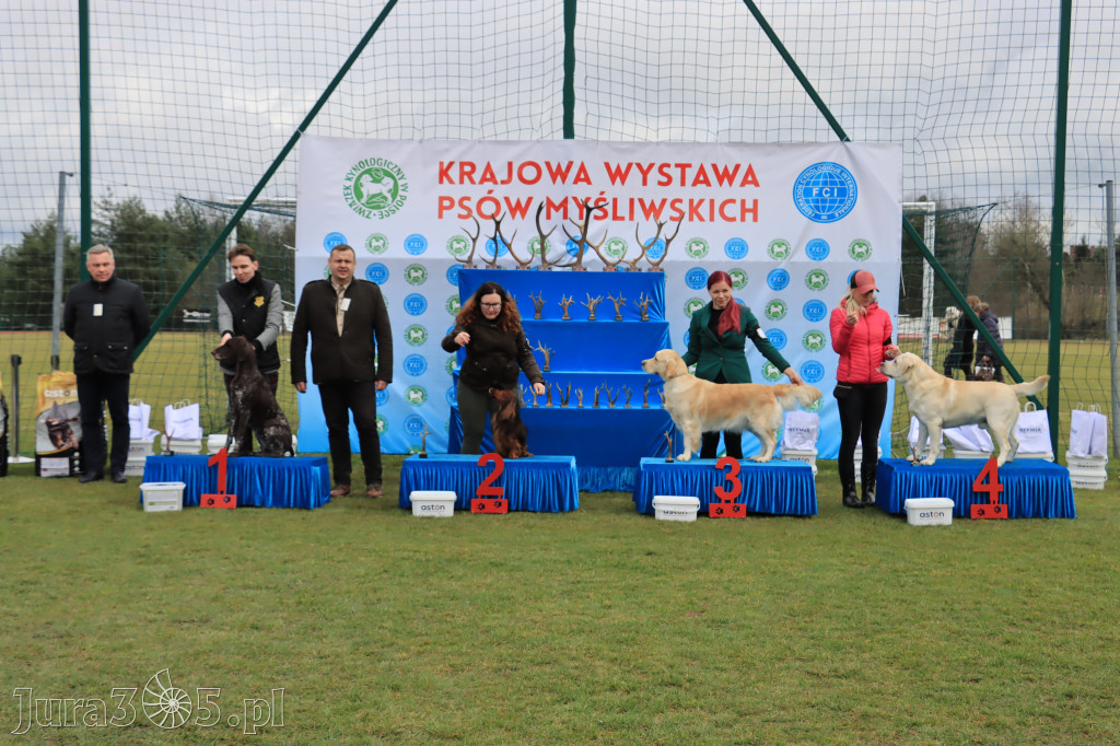 Krajowa Wystawa Psów Myśliwskich - Gniazdów g. Koziegłowy cz. 1