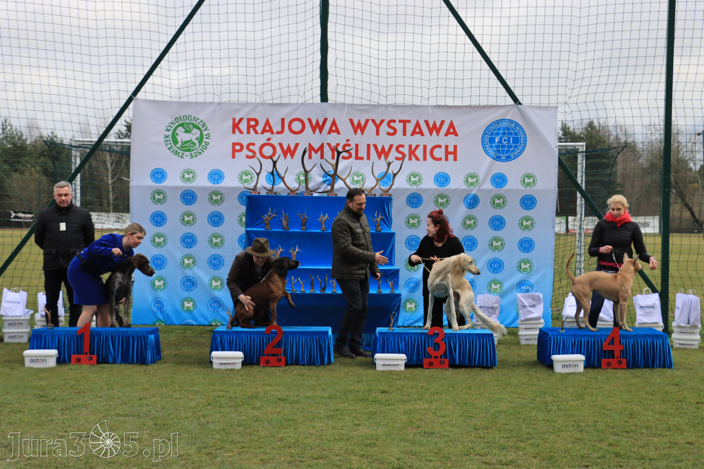 Krajowa Wystawa Psów Myśliwskich - Gniazdów g. Koziegłowy cz. 1