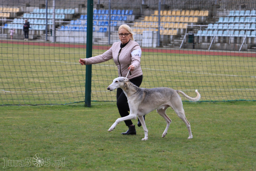 Krajowa Wystawa Psów Myśliwskich - Gniazdów g. Koziegłowy cz. 1