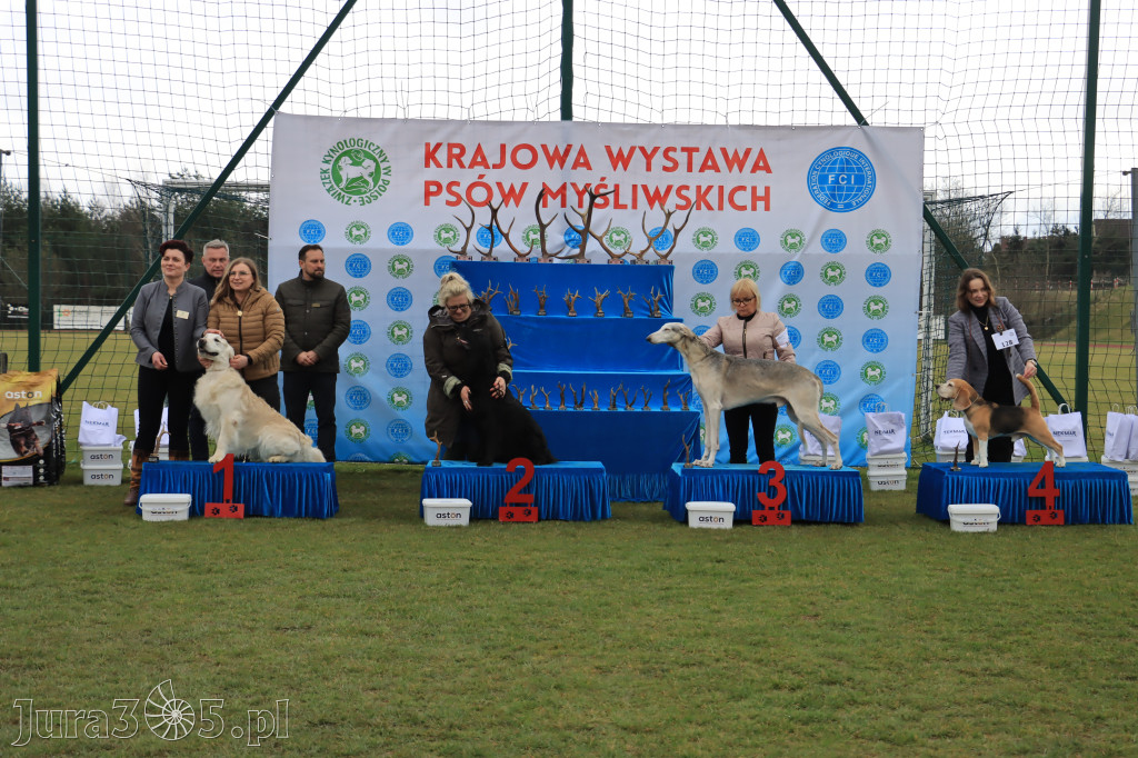 Krajowa Wystawa Psów Myśliwskich - Gniazdów g. Koziegłowy cz. 1