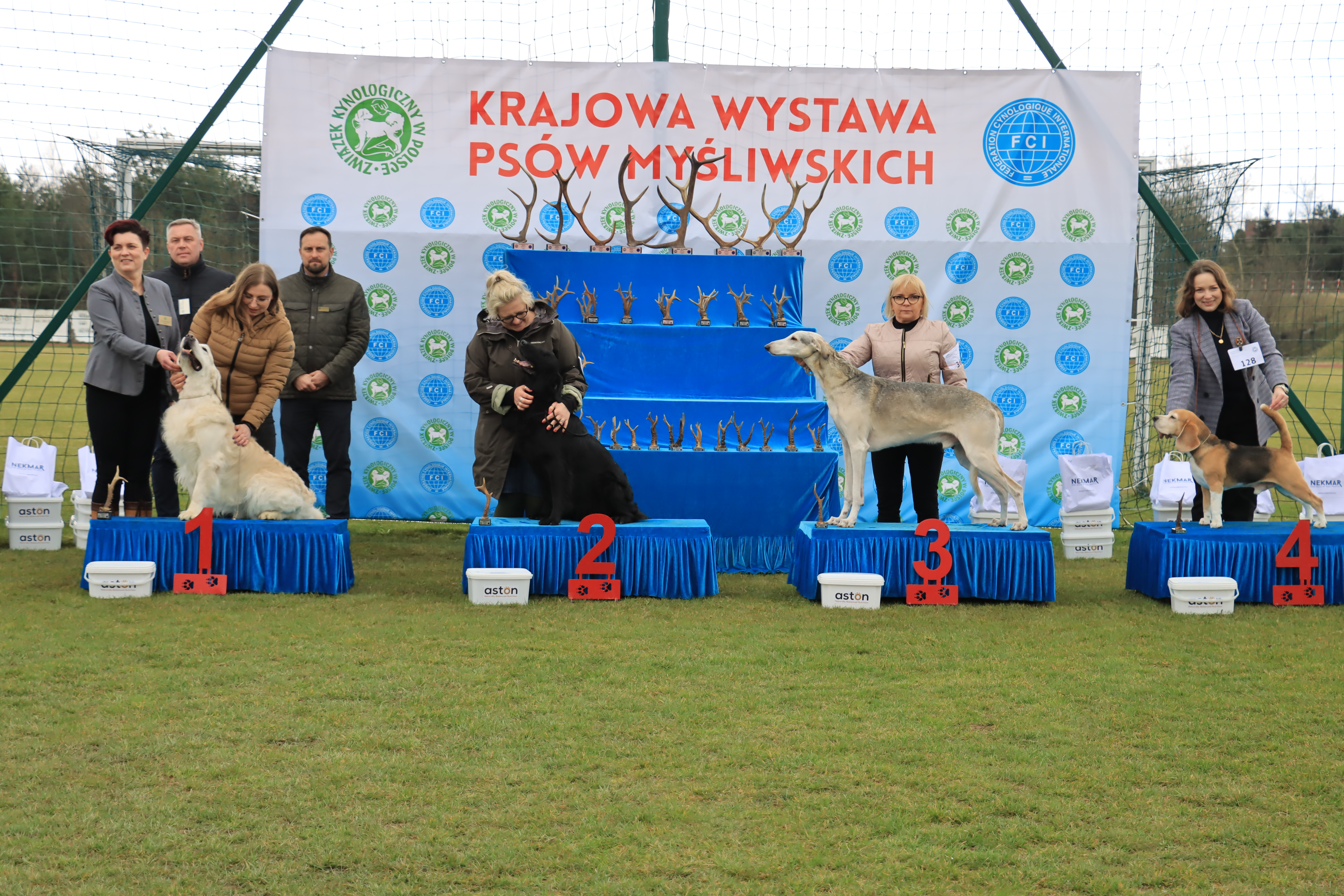 Krajowa Wystawa Psów Myśliwskich - Gniazdów g. Koziegłowy cz. 1