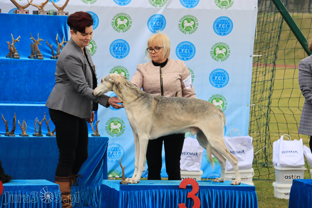 Krajowa Wystawa Psów Myśliwskich - Gniazdów g. Koziegłowy cz. 1