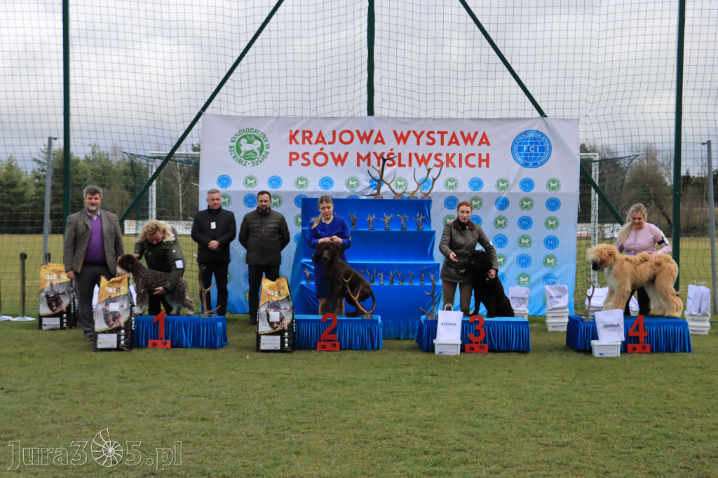 Krajowa Wystawa Psów Myśliwskich - Gniazdów g. Koziegłowy cz. 1