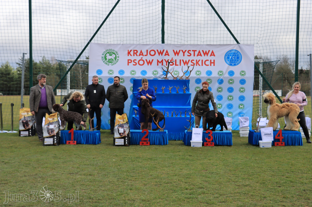 Krajowa Wystawa Psów Myśliwskich - Gniazdów g. Koziegłowy cz. 1