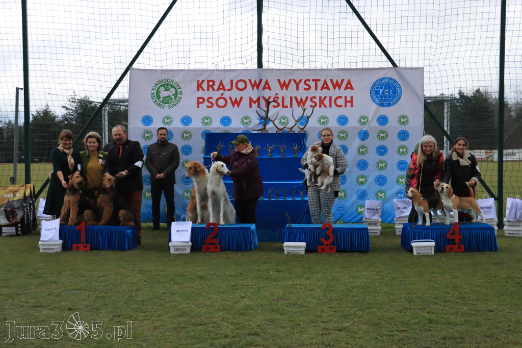 Krajowa Wystawa Psów Myśliwskich - Gniazdów g. Koziegłowy cz. 1