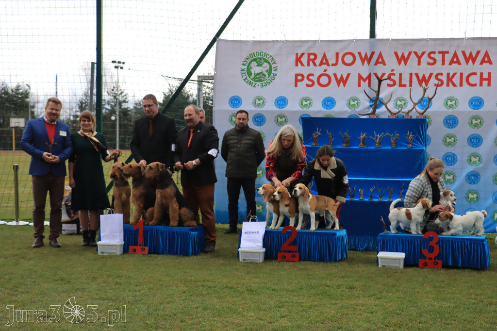 Krajowa Wystawa Psów Myśliwskich - Gniazdów g. Koziegłowy cz. 1