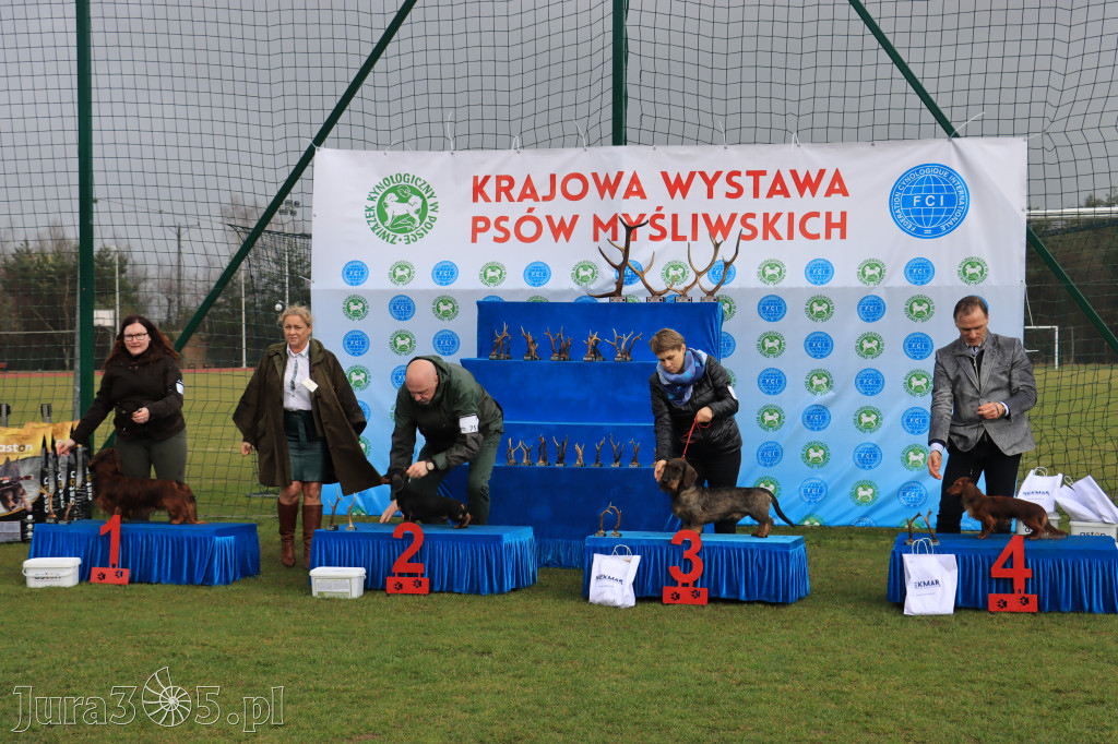 Krajowa Wystawa Psów Myśliwskich - Gniazdów g. Koziegłowy cz. 1