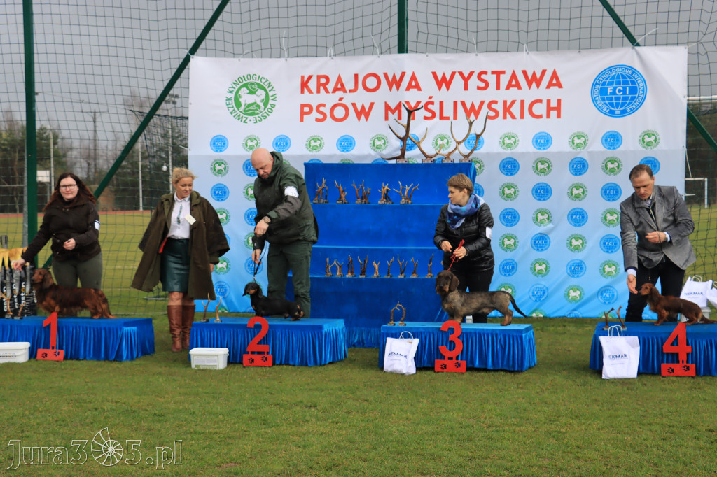 Krajowa Wystawa Psów Myśliwskich - Gniazdów g. Koziegłowy cz. 1