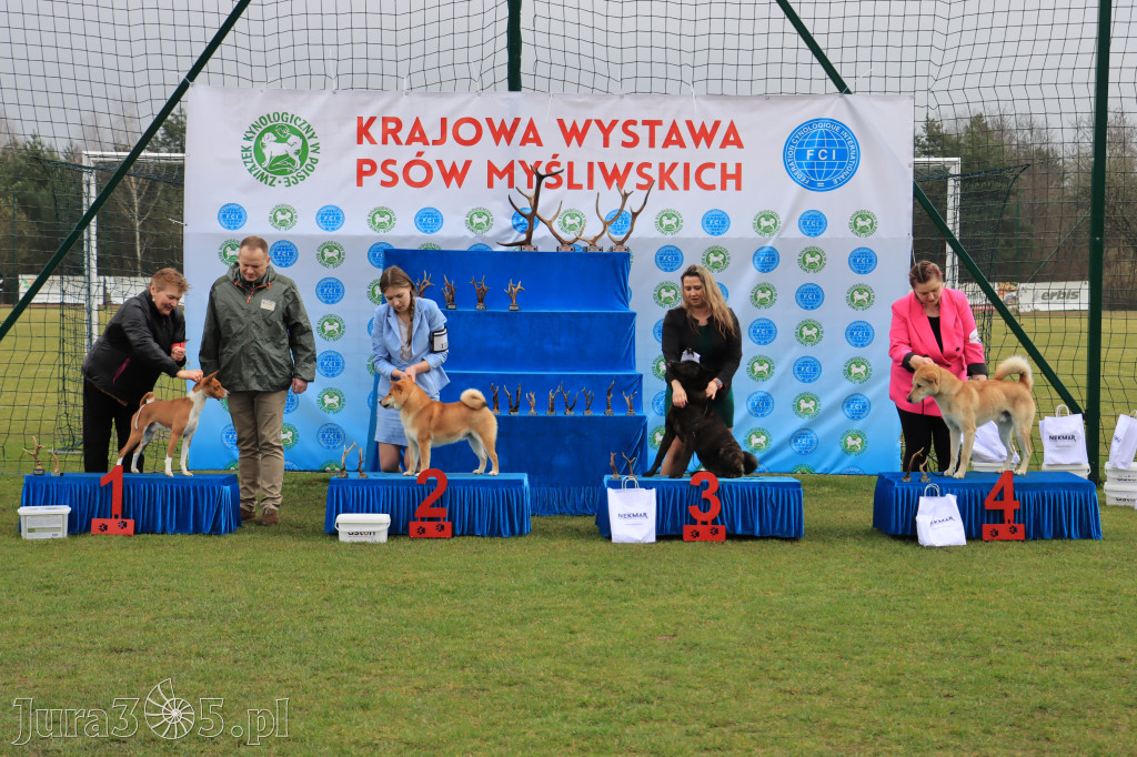 Krajowa Wystawa Psów Myśliwskich - Gniazdów g. Koziegłowy cz. 1