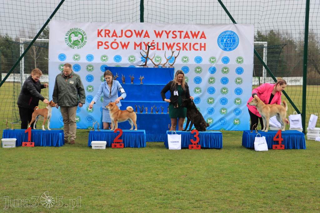 Krajowa Wystawa Psów Myśliwskich - Gniazdów g. Koziegłowy cz. 1