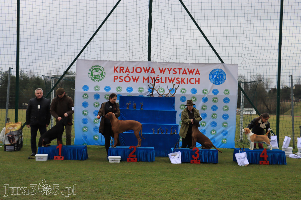 Krajowa Wystawa Psów Myśliwskich - Gniazdów g. Koziegłowy cz. 1