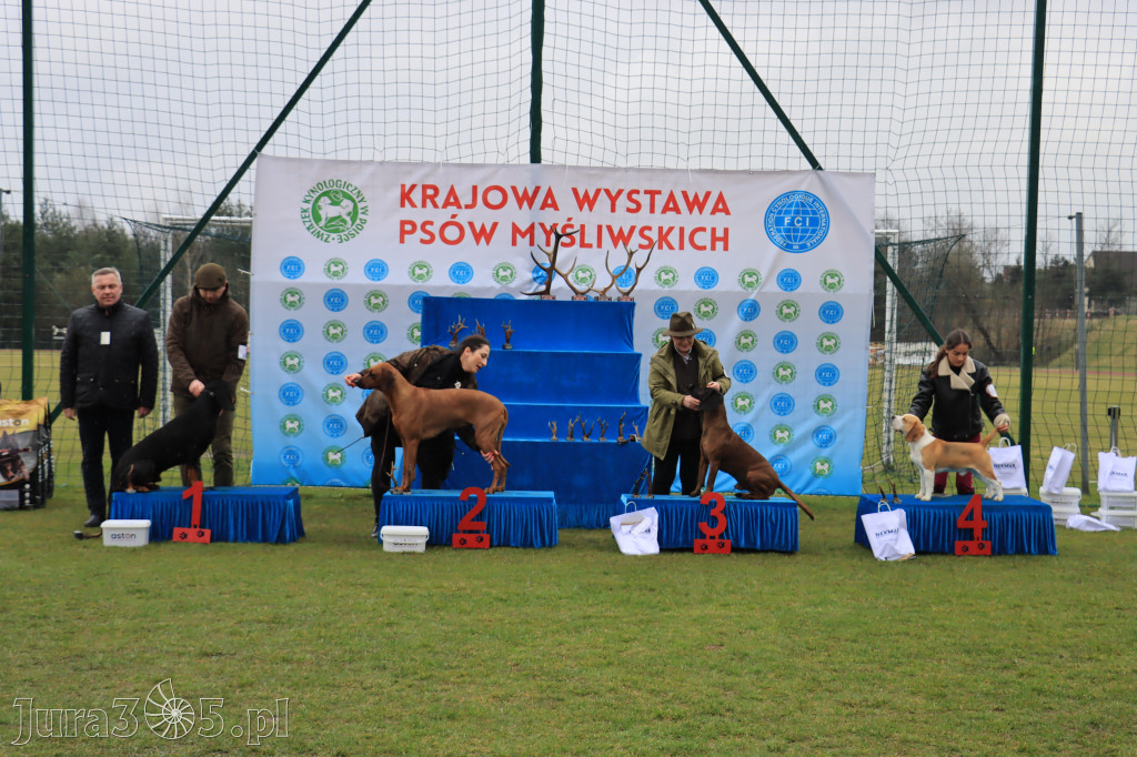 Krajowa Wystawa Psów Myśliwskich - Gniazdów g. Koziegłowy cz. 1