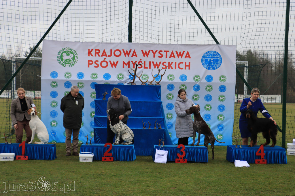 Krajowa Wystawa Psów Myśliwskich - Gniazdów g. Koziegłowy cz. 1