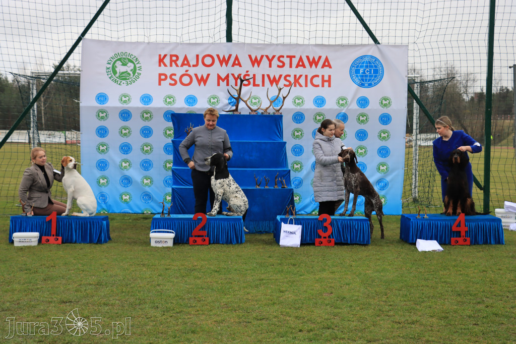 Krajowa Wystawa Psów Myśliwskich - Gniazdów g. Koziegłowy cz. 1